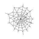 iconspider avatar