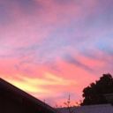 icouldfallintoyoureyes avatar