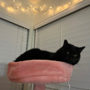 icouldsee-formiles-miles-miles avatar