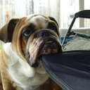 icouldusesomehappy avatar