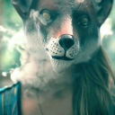 icycommercial avatar