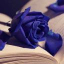 icywinterviolet avatar