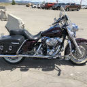 idahoharleybear avatar