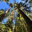 idahopussyeater avatar