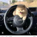 idealnanibytak avatar