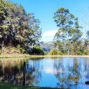 ideas-para-acuarela avatar