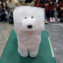 identifying-dog-colors avatar