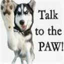 identifying-dogs avatar