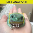 identifying-frogs-in-posts avatar