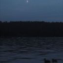 idescriptions avatar