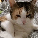 idgafjustletmein avatar