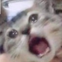 ididntdothatnope avatar