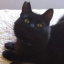 ididntknowwhattocallthis avatar