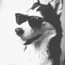 idiot-decision avatar