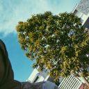 idiotasandwitch avatar