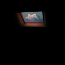 idiotdoughnut avatar