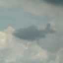 idiotfoundhere avatar