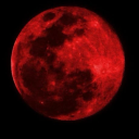 idixtsxndwich avatar