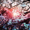 idk-a-blog-i-guess avatar