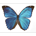 idk-what-im-doing-with-my-life-2 avatar