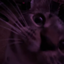 idkanymore-42 avatar