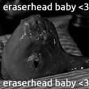 idkwhatshappeningguys avatar