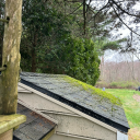 idkwhatthisis-17 avatar