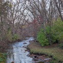 idkyimmakingthis avatar