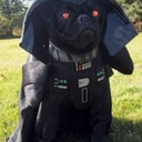 idntwanttotalkaboutit avatar