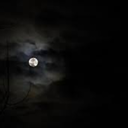 idontevenknowmanidek avatar