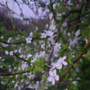 idontevenknows-stuff avatar