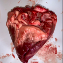 idontfearhellanymore avatar