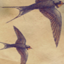 idratherbflying avatar