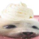 ieatcheeseburga avatar