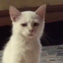 ieatnumbersforfun avatar