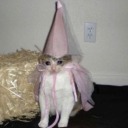 if-i-had-a-spoon avatar