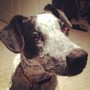 if-life-begins-now avatar