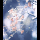 if-lost-return-to-suho avatar