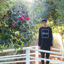 if-only-it-wasnt avatar