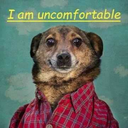 ifbeescouldtalk avatar