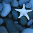 ificouldchangetheworld-blog avatar