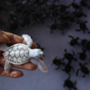 ifitaintalready avatar