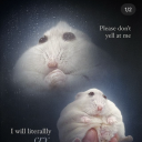 ifiwereapigiwouldfly avatar