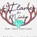 iflamesforminho avatar