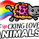 iflanimals avatar