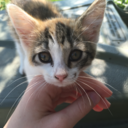 ifnotnowthenhow avatar