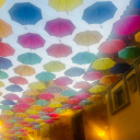 ifollowmagicalrivers avatar