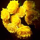 ifoundabetterlifeinmemories avatar