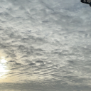 ifshewroteyouasymphony avatar