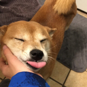 ifthouwouldsttriumph avatar